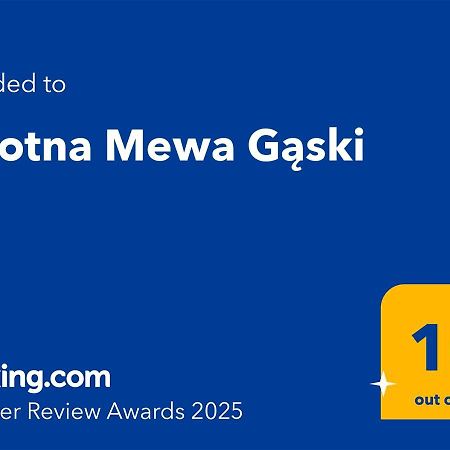 Zalotna Mewa Gaski Extérieur photo